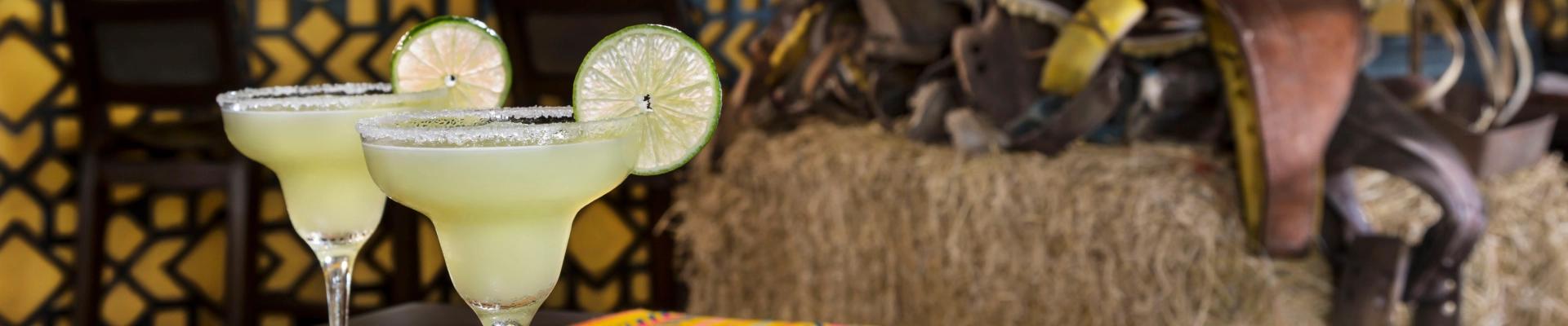 Hotel El Dorado Seaside Suites Puerto Aventuras Hotel El Dorado Seaside Suites Puerto Aventuras